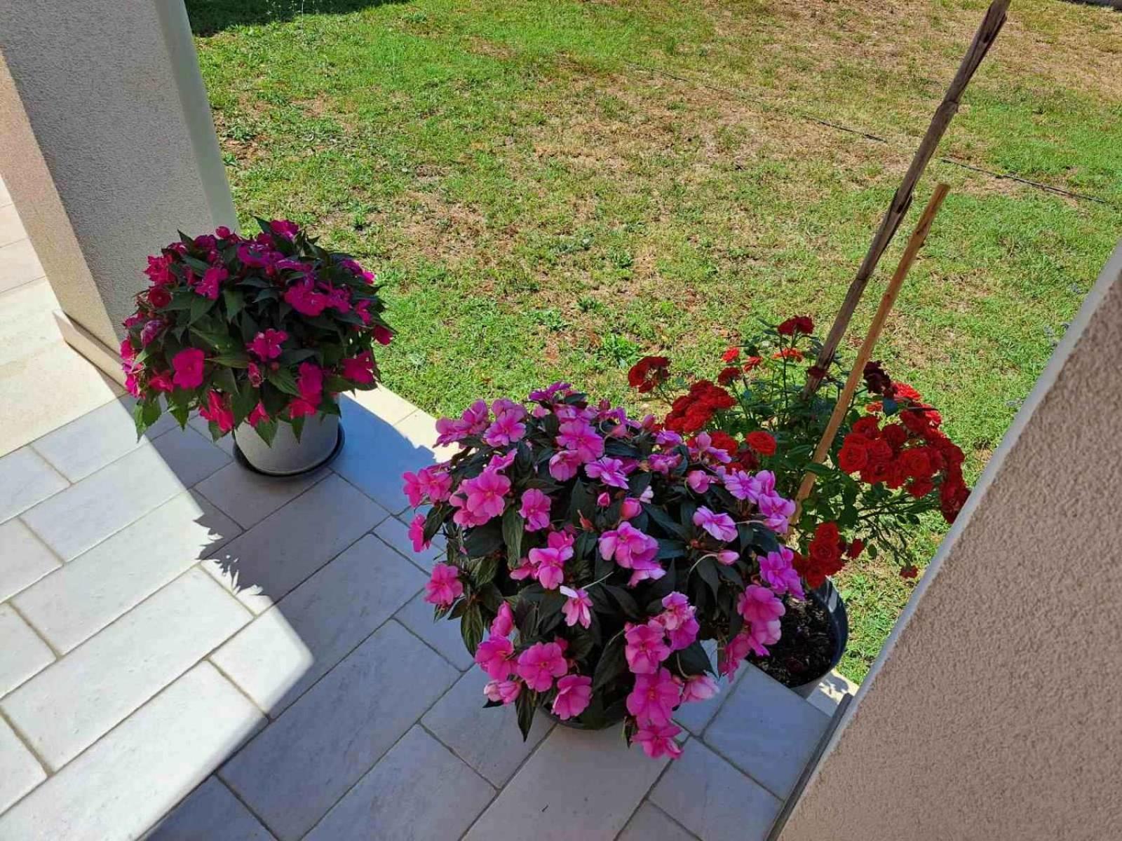 Apartmani Danica Vodnjan Zewnętrze zdjęcie