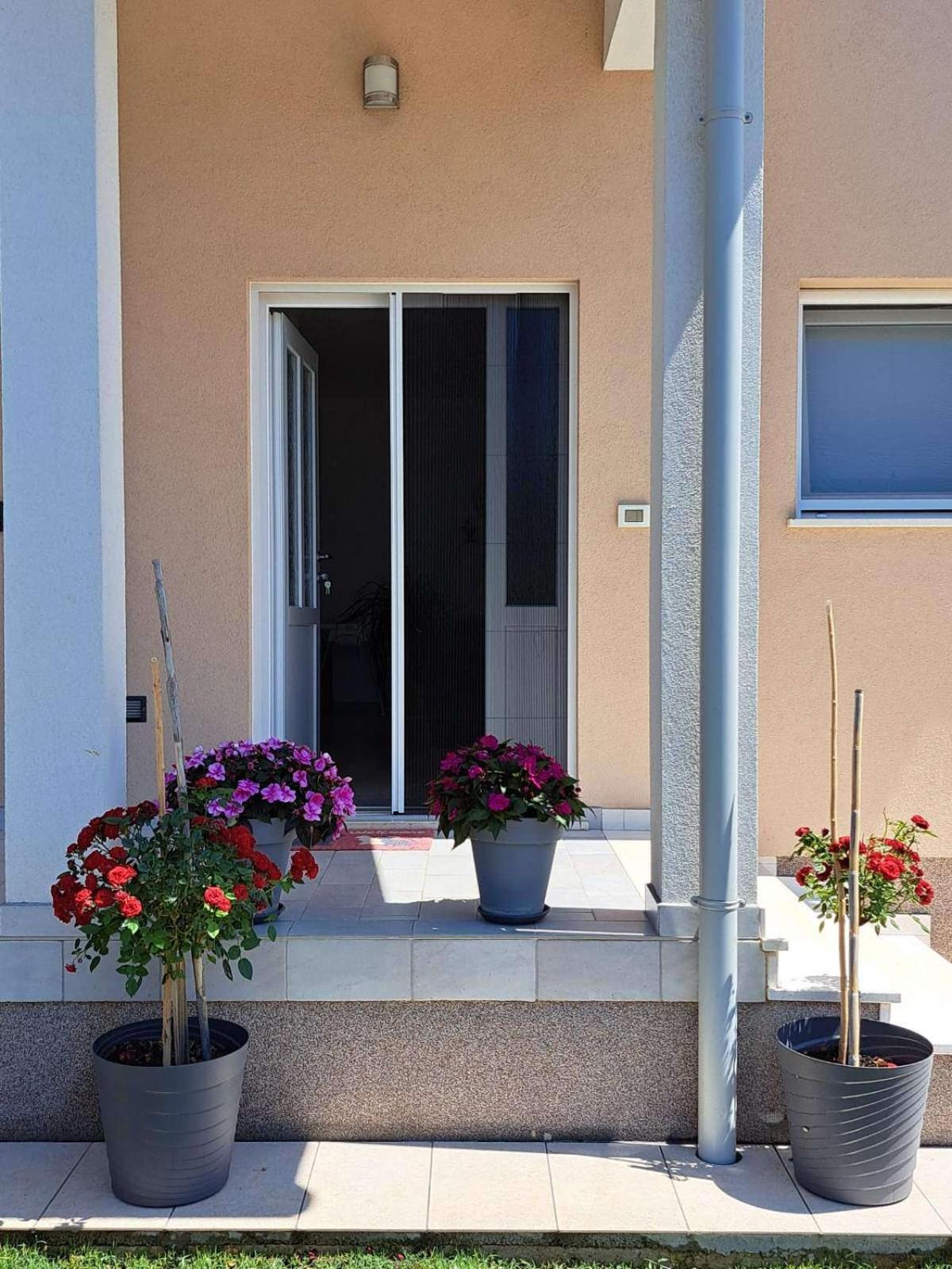Apartmani Danica Vodnjan Zewnętrze zdjęcie